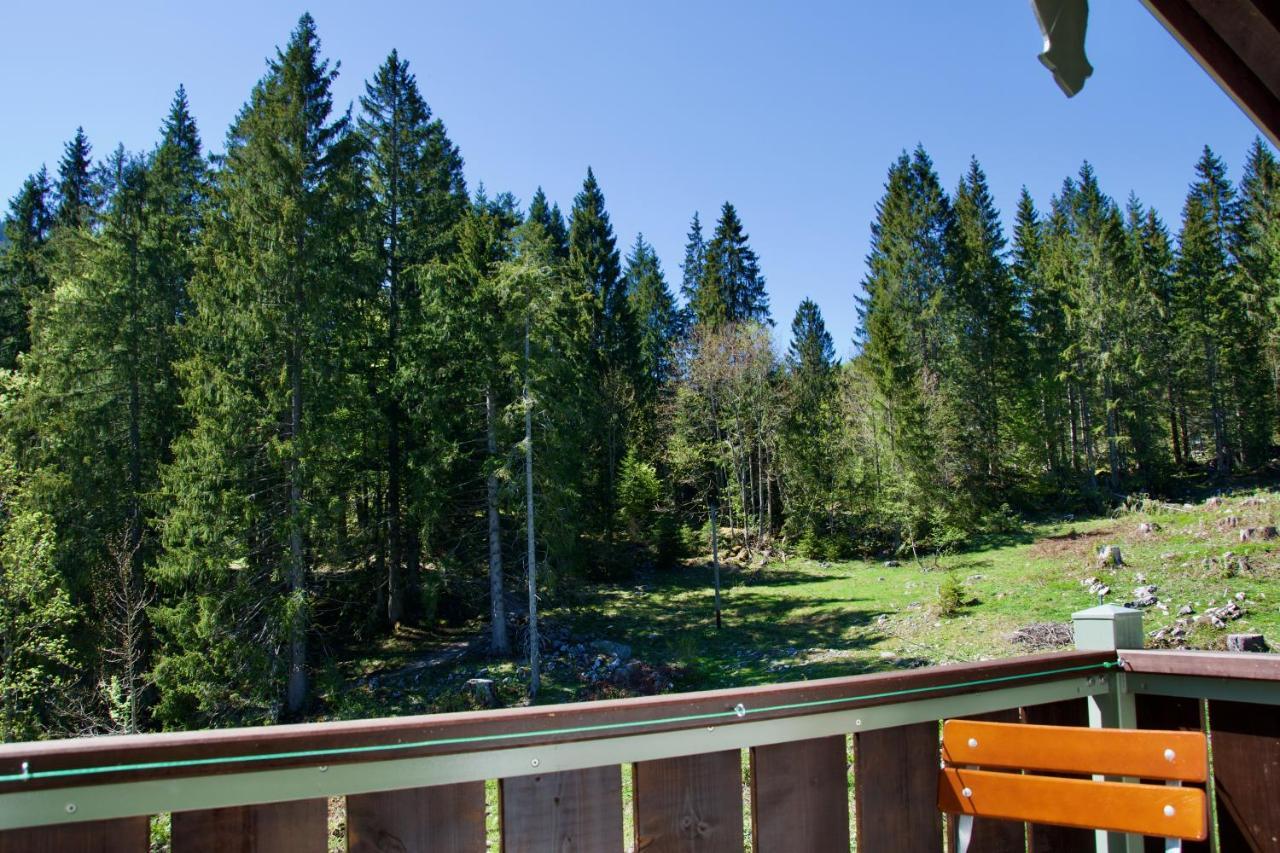 Spitzing Lodge Ferienwohnungen - Wanderparadies In Den Bergen ชปิตซิงซี ภายนอก รูปภาพ